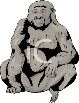 Primate Clipart