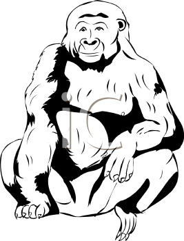 Primate Clipart