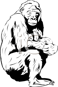 Primate Clipart