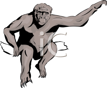 Primate Clipart