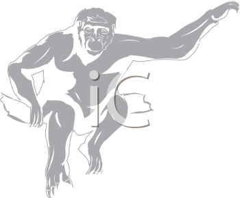 Primate Clipart