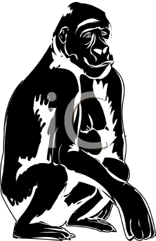 Primate Clipart