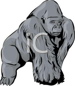 Primate Clipart