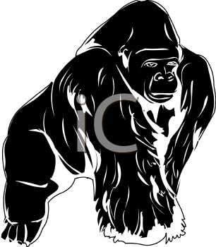 Primate Clipart