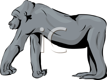 Primate Clipart