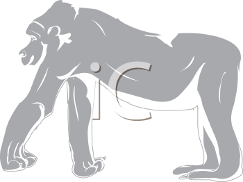 Primate Clipart