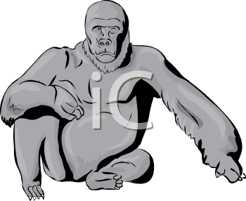 Primate Clipart