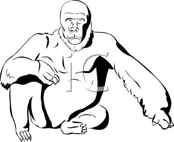 Primate Clipart