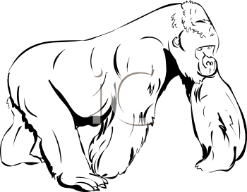 Primate Clipart