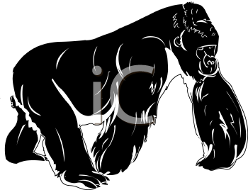 Primate Clipart