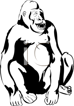 Primate Clipart