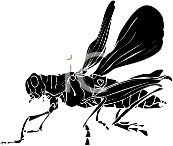 Insect Clipart