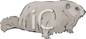 Mammal Clipart