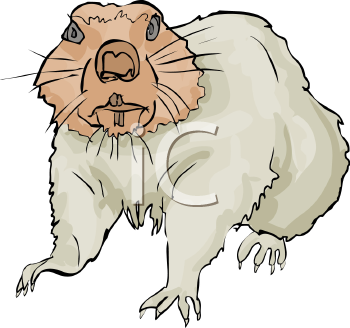 Rodent Clipart