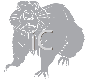 Rodent Clipart