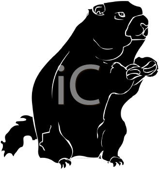 Rodent Clipart