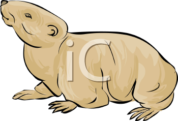 Rodent Clipart