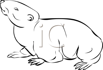 Rodent Clipart