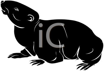 Rodent Clipart