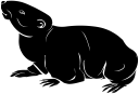 Rodent Clipart