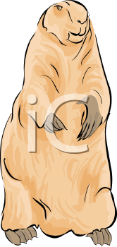 Rodent Clipart