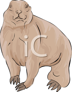 Rodent Clipart