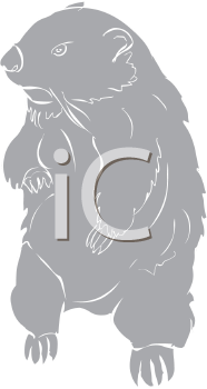 Rodent Clipart