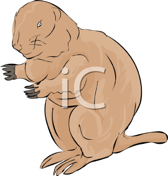 Rodent Clipart