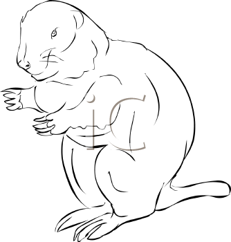 Rodent Clipart