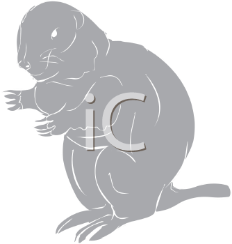 Rodent Clipart