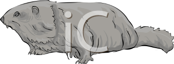 Rodent Clipart