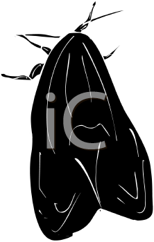 Insect Clipart