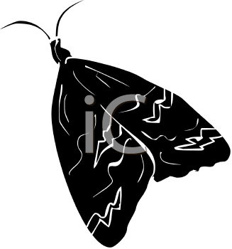 Insect Clipart