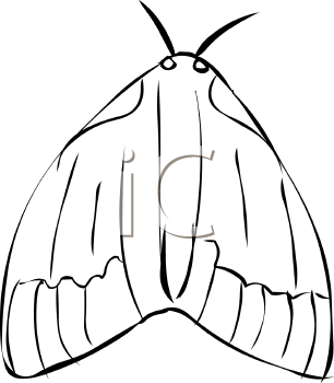 Insect Clipart