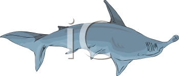 Fish and Sea Life Clipart