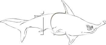 Fish and Sea Life Clipart