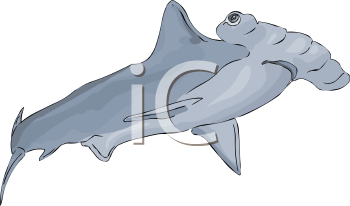 Fish and Sea Life Clipart