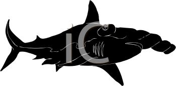 Fish and Sea Life Clipart