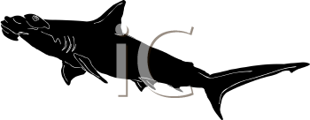 Fish and Sea Life Clipart