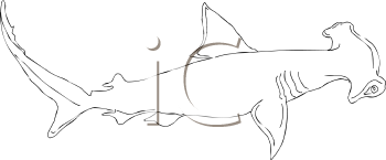 Fish and Sea Life Clipart