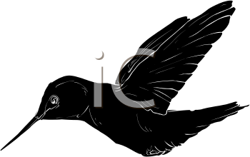 Bird Clipart