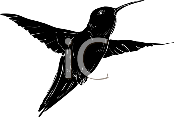 Bird Clipart