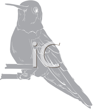 Bird Clipart