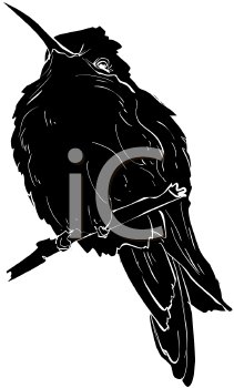 Bird Clipart