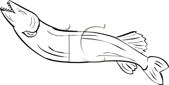 Fish and Sea Life Clipart