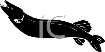 Fish and Sea Life Clipart