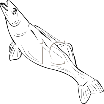 Fish and Sea Life Clipart