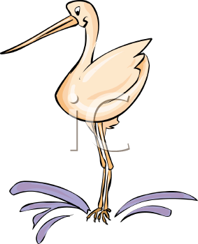 Bird Clipart