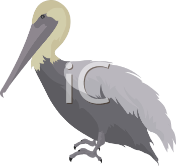 Bird Clipart