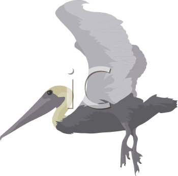 Bird Clipart